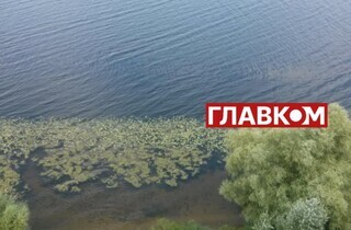 Що подивитися під Києвом. 10 місць для одноденної екскурсії 