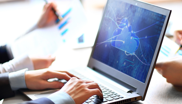 Для українців запустили освітньо-кар’єрний проєкт IT Connect UA
