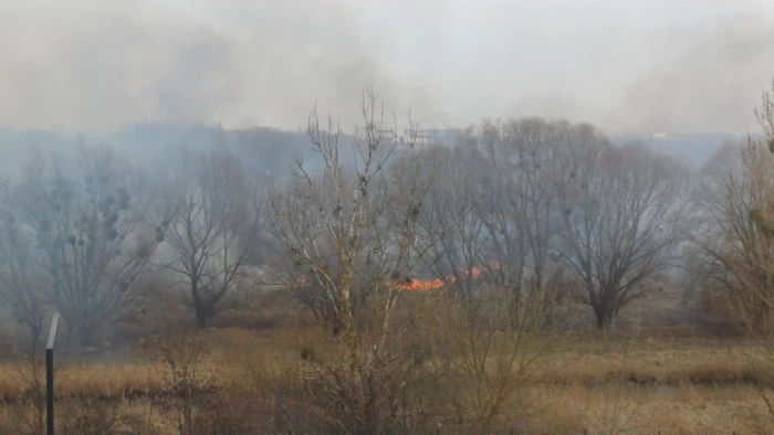На Волині горить заказник «Гнідавське болото»