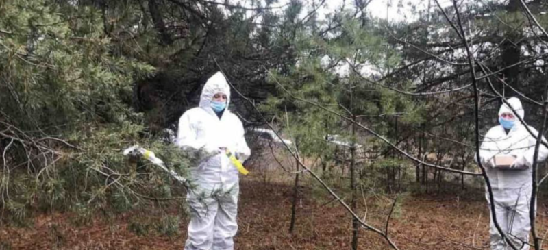 Таємнича вакцинація в лісах: що треба знати тернополянам