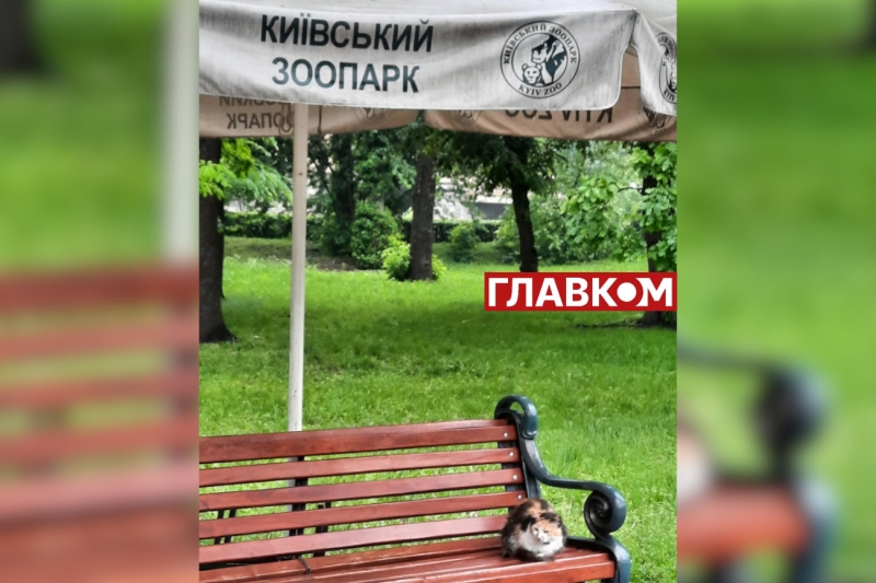Хто купає слона і що робити, коли у бегемота нема настрою? Ранкова прогулянка київським зоопарком