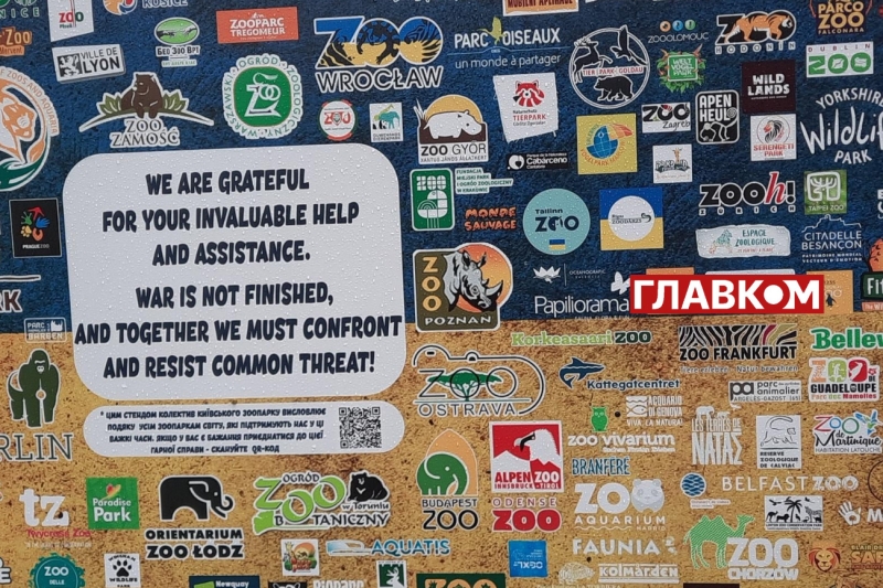 Хто купає слона і що робити, коли у бегемота нема настрою? Ранкова прогулянка київським зоопарком